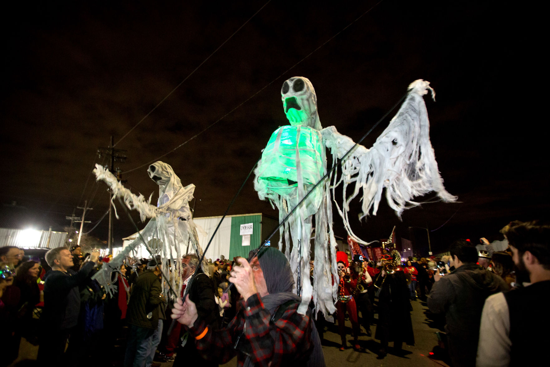 NO.chewbacchus194.021019.jpg